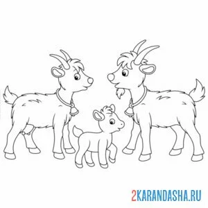 Распечатать раскраску козел, коза и козленок на А4