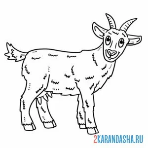 Раскраска коза взрослая онлайн