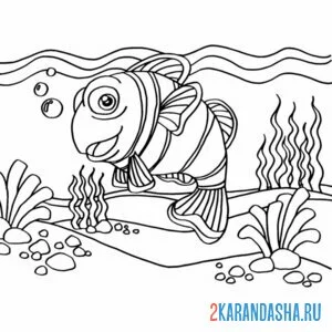 Раскраска клоун рыба в воде онлайн