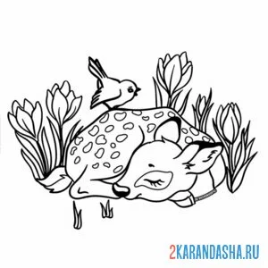 Раскраска олень спит онлайн
