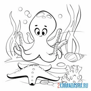 Раскраска осьминог и морская звезда онлайн
