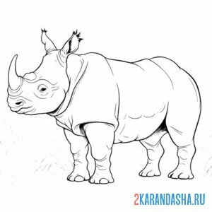 Распечатать раскраску настоящий носорог на А4