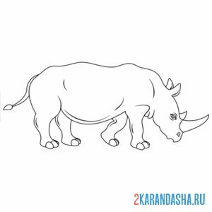 Распечатать раскраску носорог вид сбоку на А4