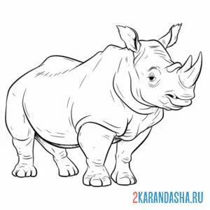 Распечатать раскраску носорог настоящий на А4