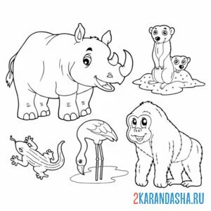 Распечатать раскраску носорог и другие животные на А4