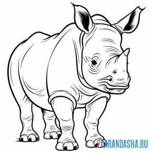 Раскраска носорог африканский онлайн