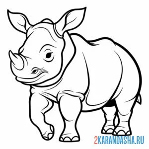 Распечатать раскраску взрослый носорог на А4