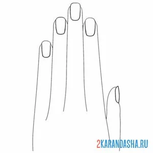 Раскраска женская рука онлайн