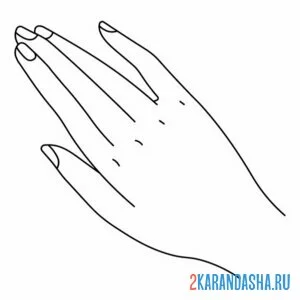 Распечатать раскраску правая женская рука на А4