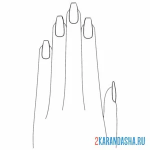 Распечатать раскраску женские пальцы на руке на А4
