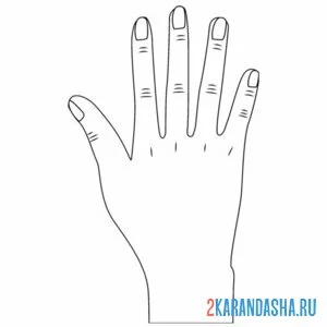 Раскраска правая рука онлайн