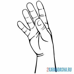 Распечатать раскраску рука мужская на А4