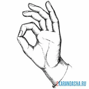 Раскраска рука показывает ок онлайн