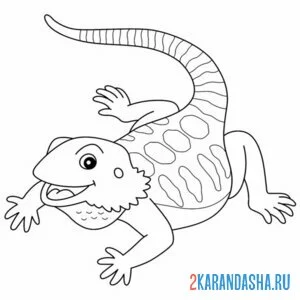 Раскраска игуана ящерица онлайн