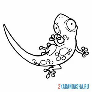Раскраска малыш геккон онлайн
