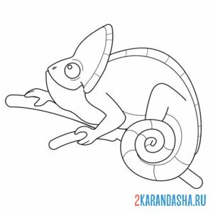 Раскраска хамелеон сидит и смотрит онлайн