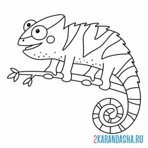 Раскраска на ветке хамелеон онлайн