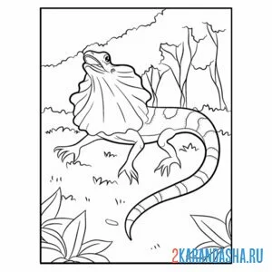 Раскраска плащеносная ящерица на природе онлайн