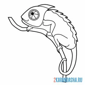 Раскраска хамелеон на маленькой ветке онлайн
