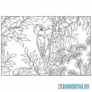 Раскраска дятел в лесу онлайн