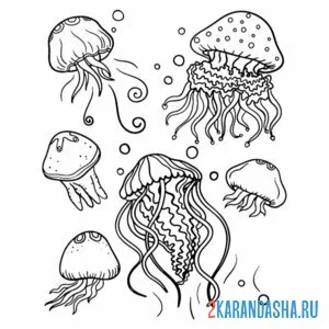 Раскраска много медуз онлайн