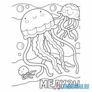 Распечатать раскраску медузы на А4