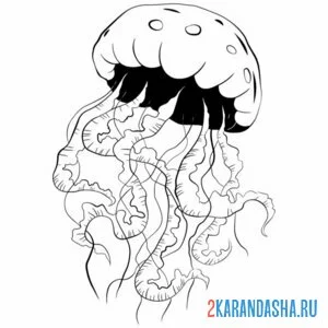 Раскраска медуза бульк онлайн
