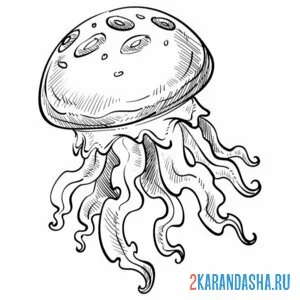 Раскраска медуза фото онлайн