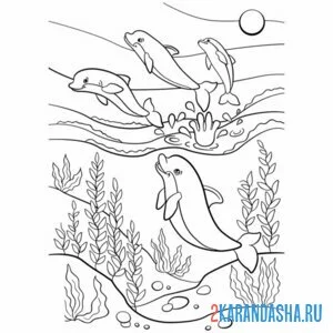 Раскраска дельфин группа онлайн