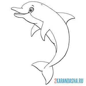Раскраска красивый молодой дельфин онлайн