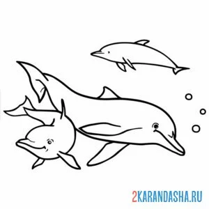 Раскраска дельфины семья папа мама и малыш онлайн