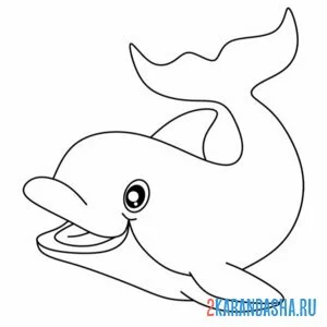 Раскраска улыбчивый дельфин онлайн