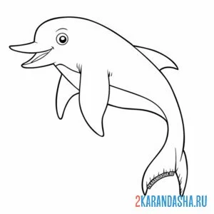 Раскраска улыбака дельфин онлайн