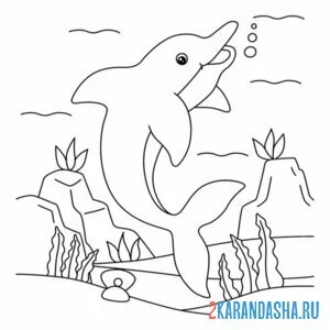 Раскраска морской дельфин онлайн