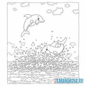 Раскраска свободные дельфины онлайн