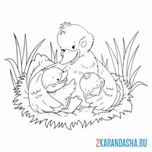 Раскраска мама утка обнимает утят онлайн