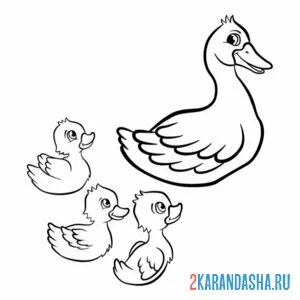 Раскраска мама утка и три утенка онлайн