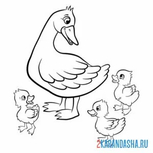 Раскраска утка мама и три утенка онлайн