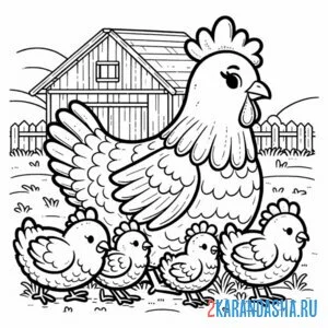 Раскраска курица и 4 цыпленка онлайн