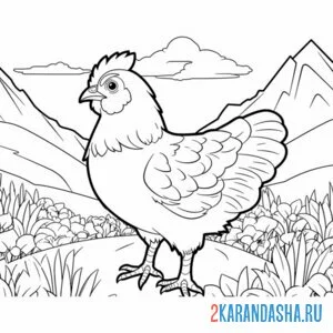 Распечатать раскраску курица в горах на А4