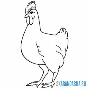 Раскраска курица стройняшка онлайн