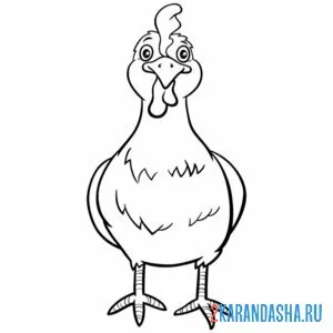 Раскраска курица в анфас онлайн