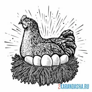 Раскраска курица снесла яйца онлайн