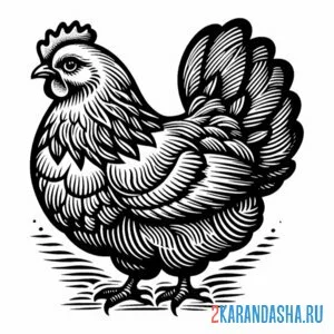 Раскраска курица породистая онлайн