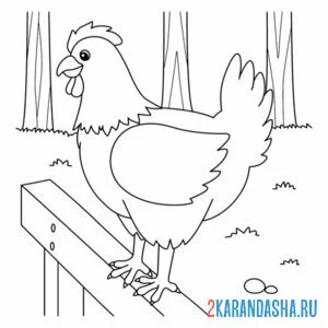 Раскраска курица на заборе онлайн