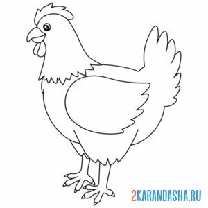 Раскраска курица на улице онлайн