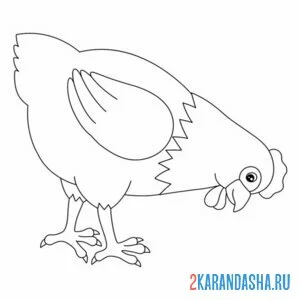 Раскраска курица клюет онлайн