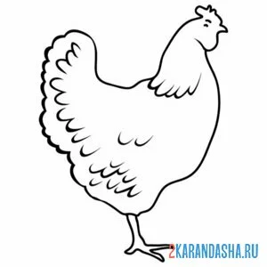 Раскраска курица контур онлайн