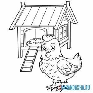 Раскраска курица и курятник онлайн