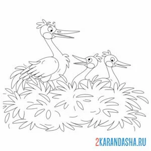 Раскраска аист мама и птенцы онлайн